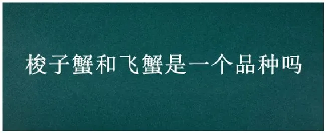 梭子蟹和飞蟹是一个品种吗 | 三农答疑