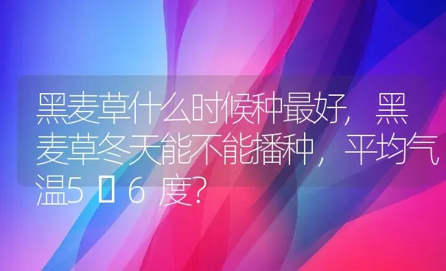 黑麦草什么时候种最好,黑麦草冬天能不能播种，平均气温5〜6度？ | 养殖常见问题