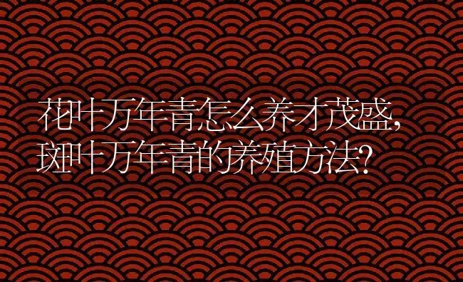 花叶万年青怎么养才茂盛,斑叶万年青的养殖方法？ | 养殖常见问题