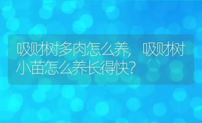 7款&quot;吸毒&quot;植物,有谁知道可以吸烟的植物有哪些？ | 养殖常见问题