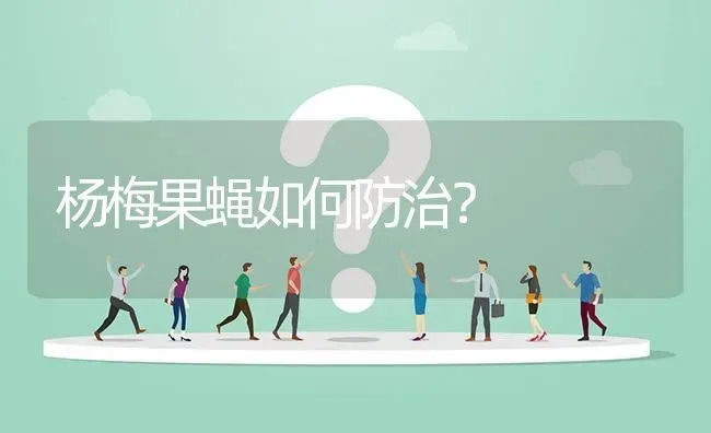 杨梅果蝇如何防治? | 养殖问题解答