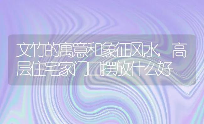 文竹的寓意和象征风水,高层住宅家门口摆放什么好 | 养殖常见问题