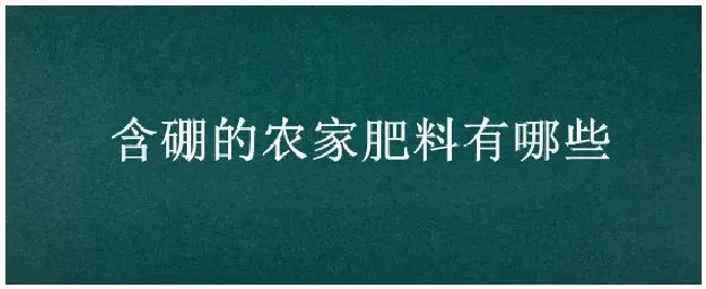 含硼的农家肥料有哪些 | 生活常识