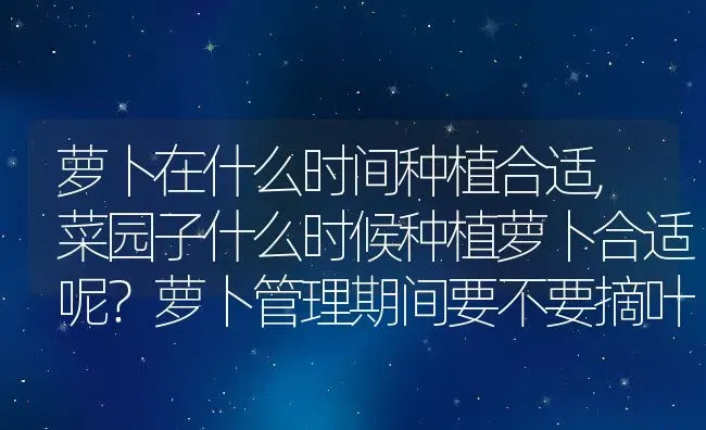 萝卜在什么时间种植合适,菜园子什么时候种植萝卜合适呢？萝卜管理期间要不要摘叶子 | 养殖常见问题