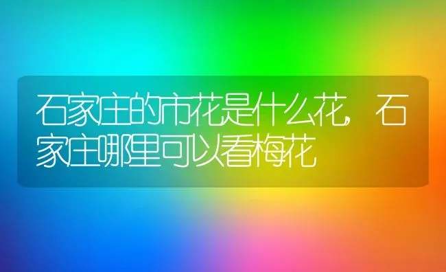 栗子什么时候成熟,山栗子什么时候成熟？ | 养殖常见问题