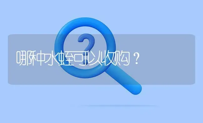 哪种水蛭可以收购? | 养殖问题解答