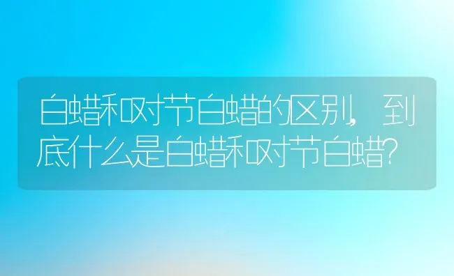 复叶槭怎么修剪修剪时间与方法,管理金叶复叶槭有哪些注意事项？ | 养殖常见问题