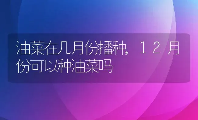 油菜在几月份播种,12月份可以种油菜吗 | 养殖常见问题
