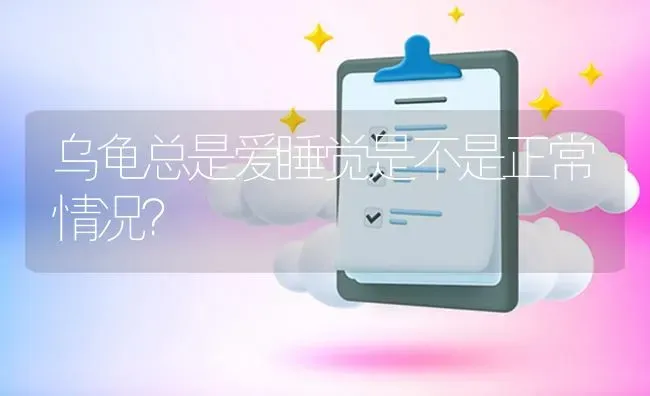 乌龟总是爱睡觉是不是正常情况? | 养殖问题解答