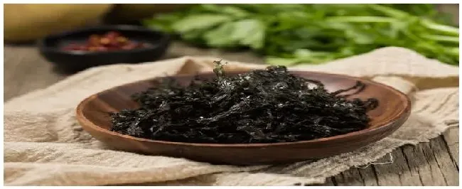 紫菜长在哪里 | 生活常识