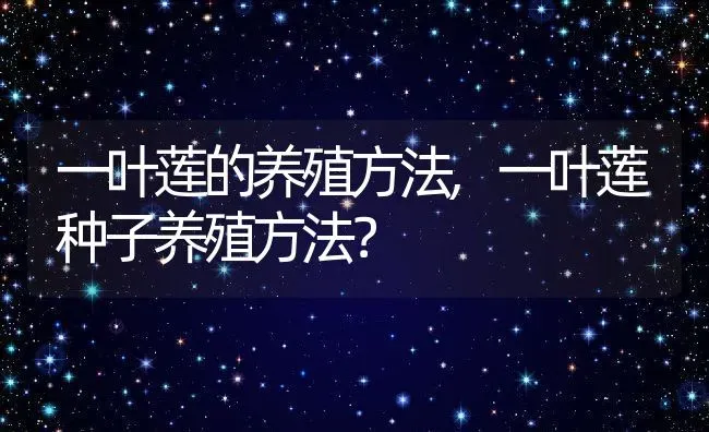 一叶莲的养殖方法,一叶莲种子养殖方法？ | 养殖常见问题