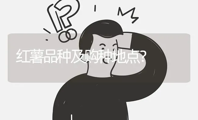 红薯品种及购种地点? | 养殖问题解答