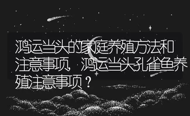 鸿运当头的家庭养殖方法和注意事项,鸿运当头孔雀鱼养殖注意事项？ | 养殖常见问题