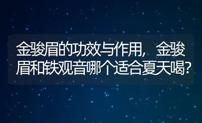 金骏眉的功效与作用,金骏眉和铁观音哪个适合夏天喝？ | 养殖常见问题