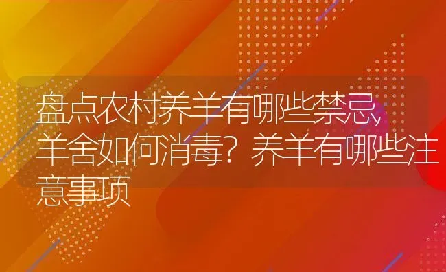 盘点农村养羊有哪些禁忌,羊舍如何消毒？养羊有哪些注意事项 | 养殖常见问题