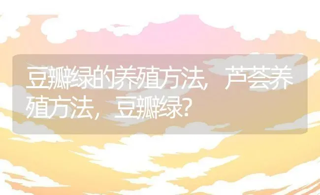 豆瓣绿的养殖方法,芦荟养殖方法，豆瓣绿？ | 养殖常见问题