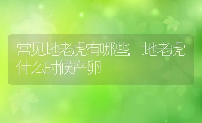 常见地老虎有哪些,地老虎什么时候产卵 | 养殖常见问题