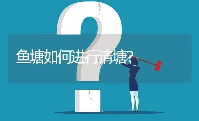 鱼塘如何进行清塘? | 养殖问题解答