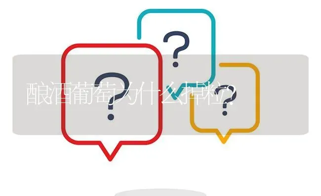 酿酒葡萄为什么掉粒? | 养殖问题解答