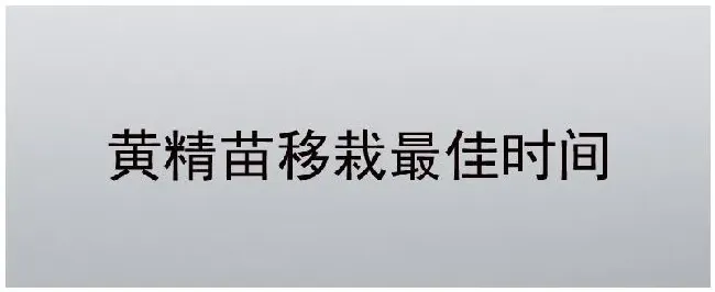 黄精苗移栽最佳时间 | 生活常识