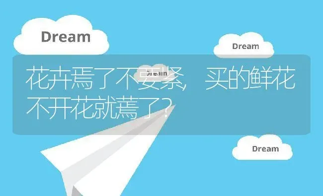 花卉焉了不要紧,买的鲜花不开花就蔫了？ | 养殖常见问题
