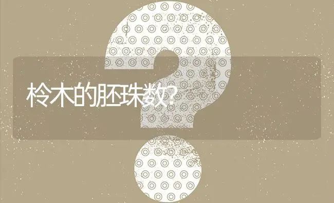 柃木的胚珠数? | 养殖问题解答