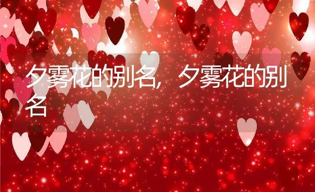 中性水果有哪些,番石榴的属性？ | 养殖常见问题