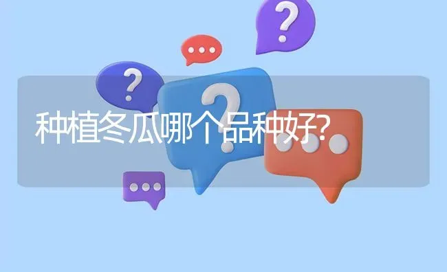 种植冬瓜哪个品种好? | 养殖问题解答