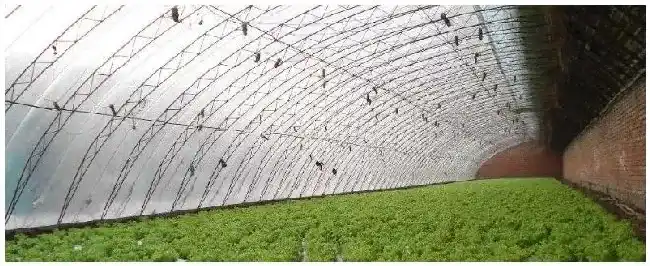 大棚二膜能提升几度大棚增温宝成分 | 农业常识