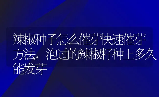 辣椒种子怎么催芽快速催芽方法,泡过的辣椒籽种上多久能发芽 | 养殖常见问题