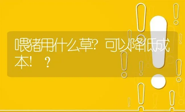 喂猪用什么草?可以降低成本!? | 养殖问题解答