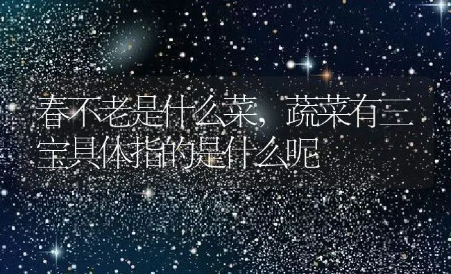 仙人棒什么时候开花,仙人棒什么时候开花 | 养殖常见问题