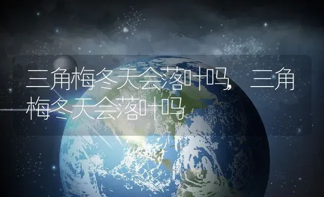 三角梅冬天会落叶吗,三角梅冬天会落叶吗 | 养殖常见问题