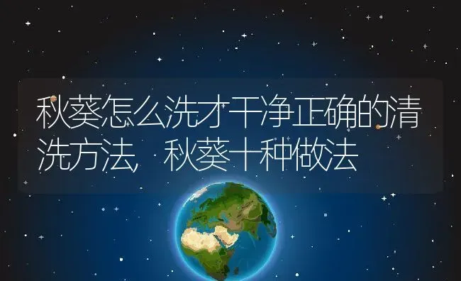 秋葵怎么洗才干净正确的清洗方法,秋葵十种做法 | 养殖常见问题