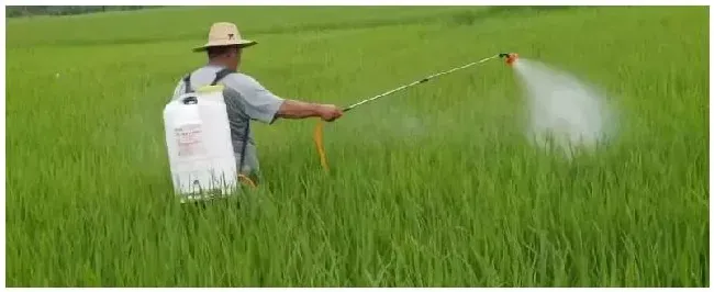 什么是叶面肥 | 三农问答