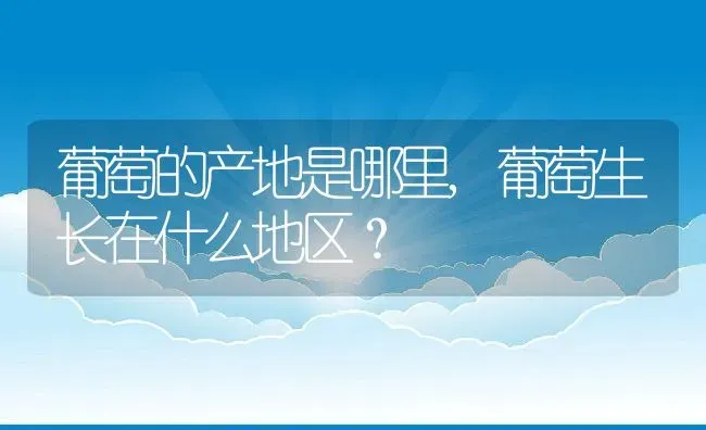 葡萄的产地是哪里,葡萄生长在什么地区？ | 养殖常见问题