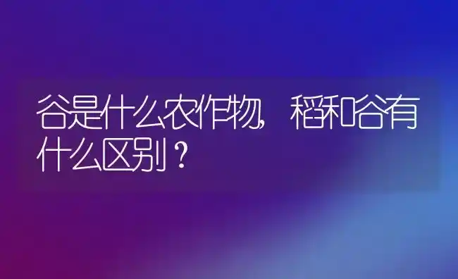 谷是什么农作物,稻和谷有什么区别? | 养殖常见问题
