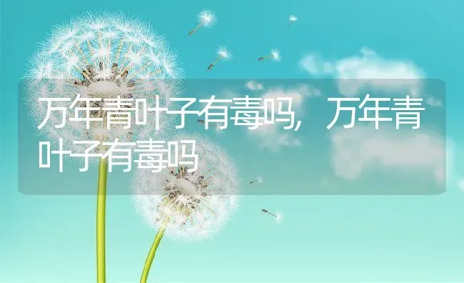 万年青叶子有毒吗,万年青叶子有毒吗 | 养殖常见问题