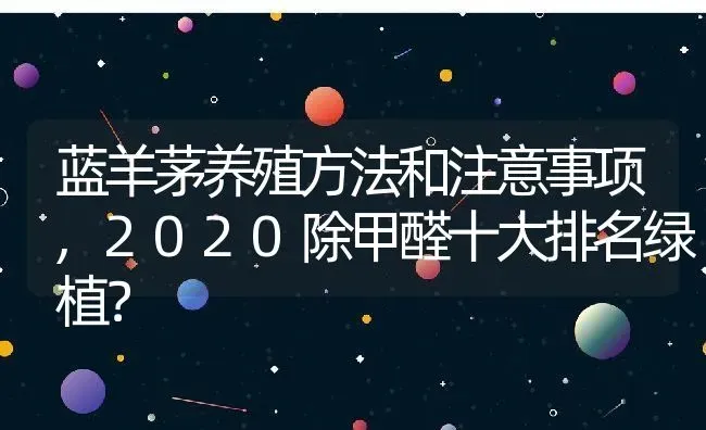 蓝羊茅养殖方法和注意事项,2020除甲醛十大排名绿植？ | 养殖常见问题