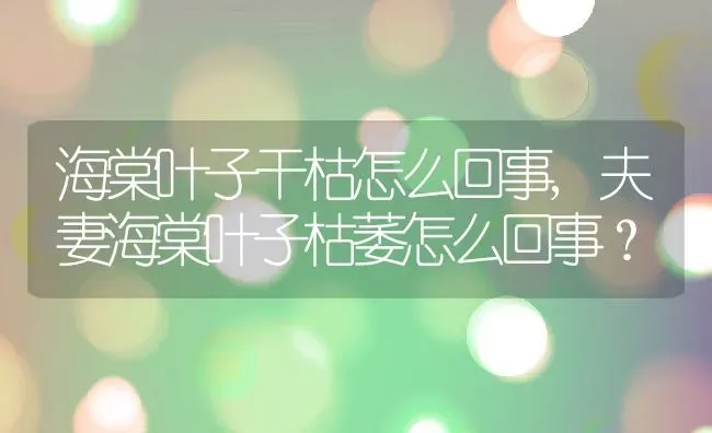 海棠叶子干枯怎么回事,夫妻海棠叶子枯萎怎么回事？ | 养殖常见问题