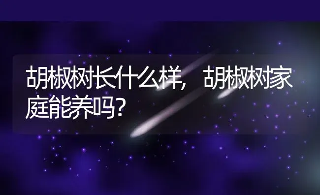 富贵竹水培怎么养才能更旺盛,水培富贵竹正确养法？ | 养殖常见问题