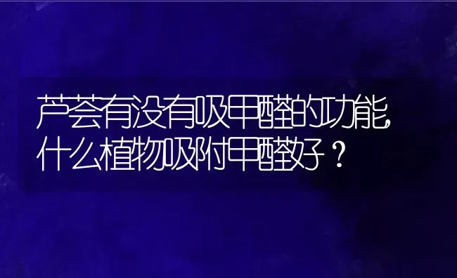 芦荟有没有吸甲醛的功能,什么植物吸附甲醛好？ | 养殖常见问题