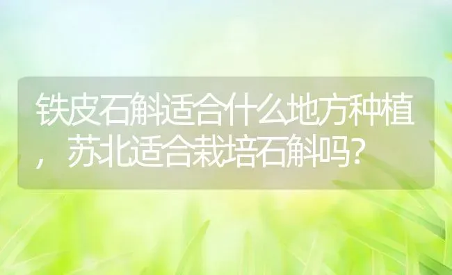 铁皮石斛适合什么地方种植,苏北适合栽培石斛吗？ | 养殖常见问题