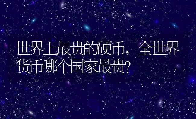 世界上最贵的硬币,全世界货币哪个国家最贵？ | 养殖常见问题