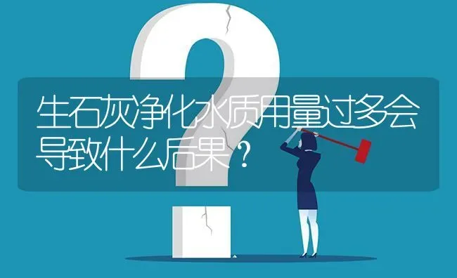 生石灰净化水质用量过多会导致什么后果? | 养殖问题解答