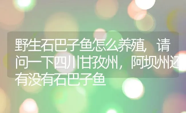 野生石巴子鱼怎么养殖,请问一下四川甘孜州，阿坝州还有没有石巴子鱼 | 养殖常见问题