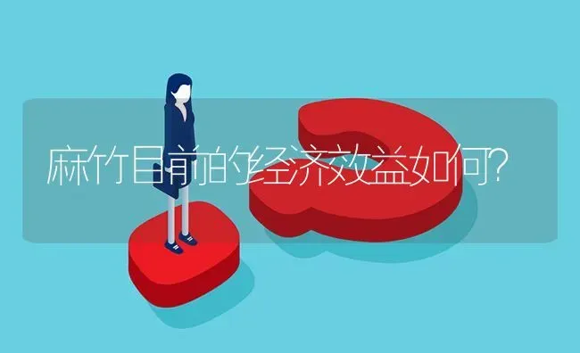 麻竹目前的经济效益如何? | 养殖问题解答