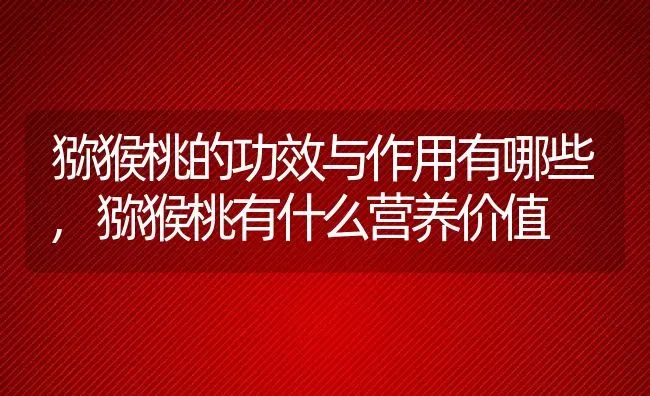 猕猴桃的功效与作用有哪些,猕猴桃有什么营养价值 | 养殖常见问题