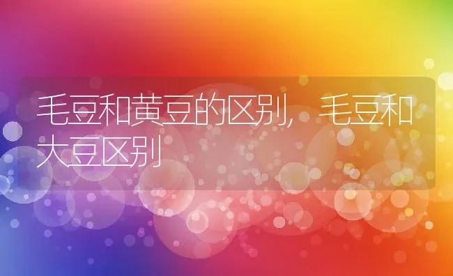 毛豆和黄豆的区别,毛豆和大豆区别 | 养殖常见问题