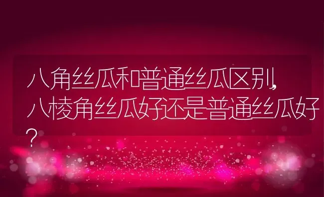 八角丝瓜和普通丝瓜区别,八棱角丝瓜好还是普通丝瓜好？ | 养殖常见问题